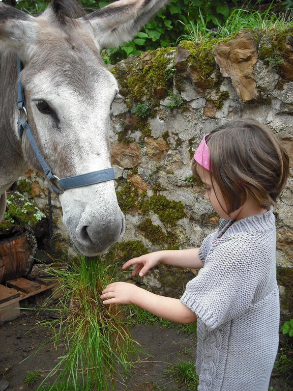 Iguerande Fenetre Sur Loire B&B 외부 사진