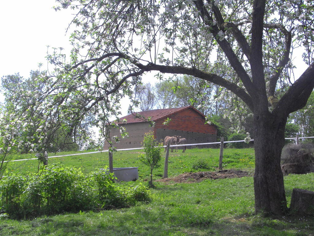Iguerande Fenetre Sur Loire B&B 외부 사진