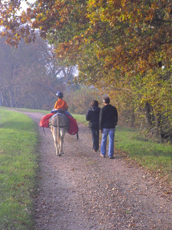 Iguerande Fenetre Sur Loire B&B 외부 사진